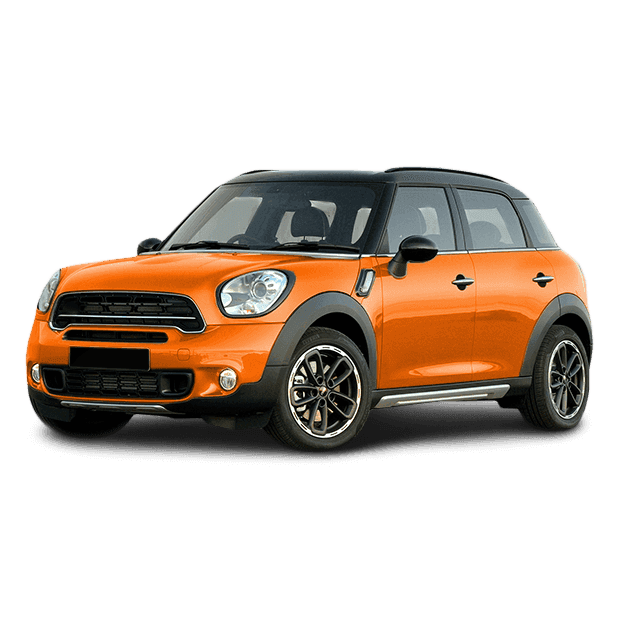 Mini PACEMAN