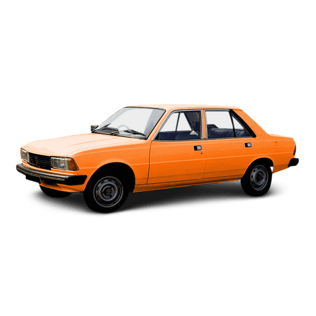 Peugeot 305